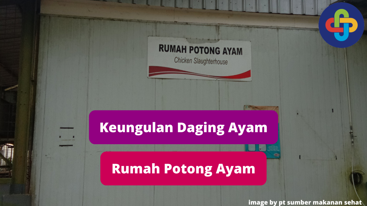 Inilah 6 Keuntungan Membeli Daging Ayam di Rumah Potong Ayam